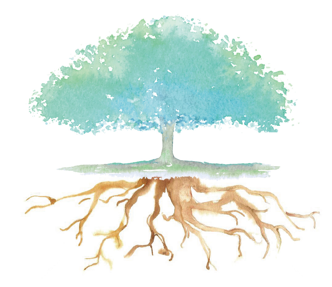 地域に根ざして